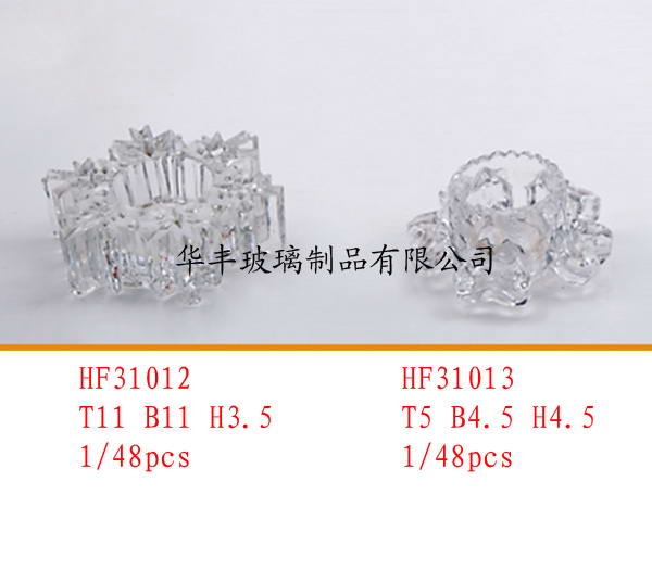 HF31012/13